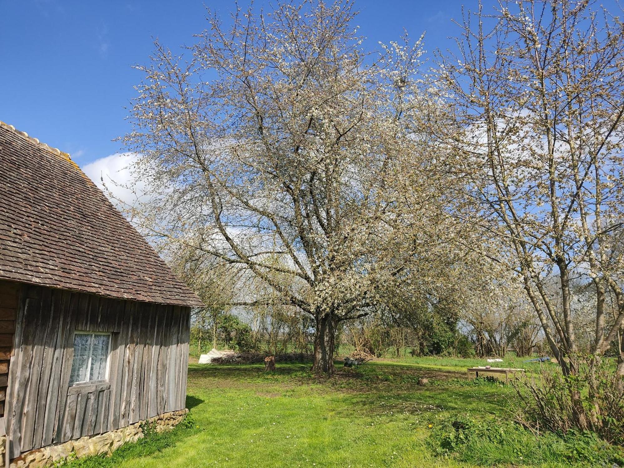 Bed and Breakfast La Valise A Cheval Mezieres-sur-Ponthouin Exterior foto