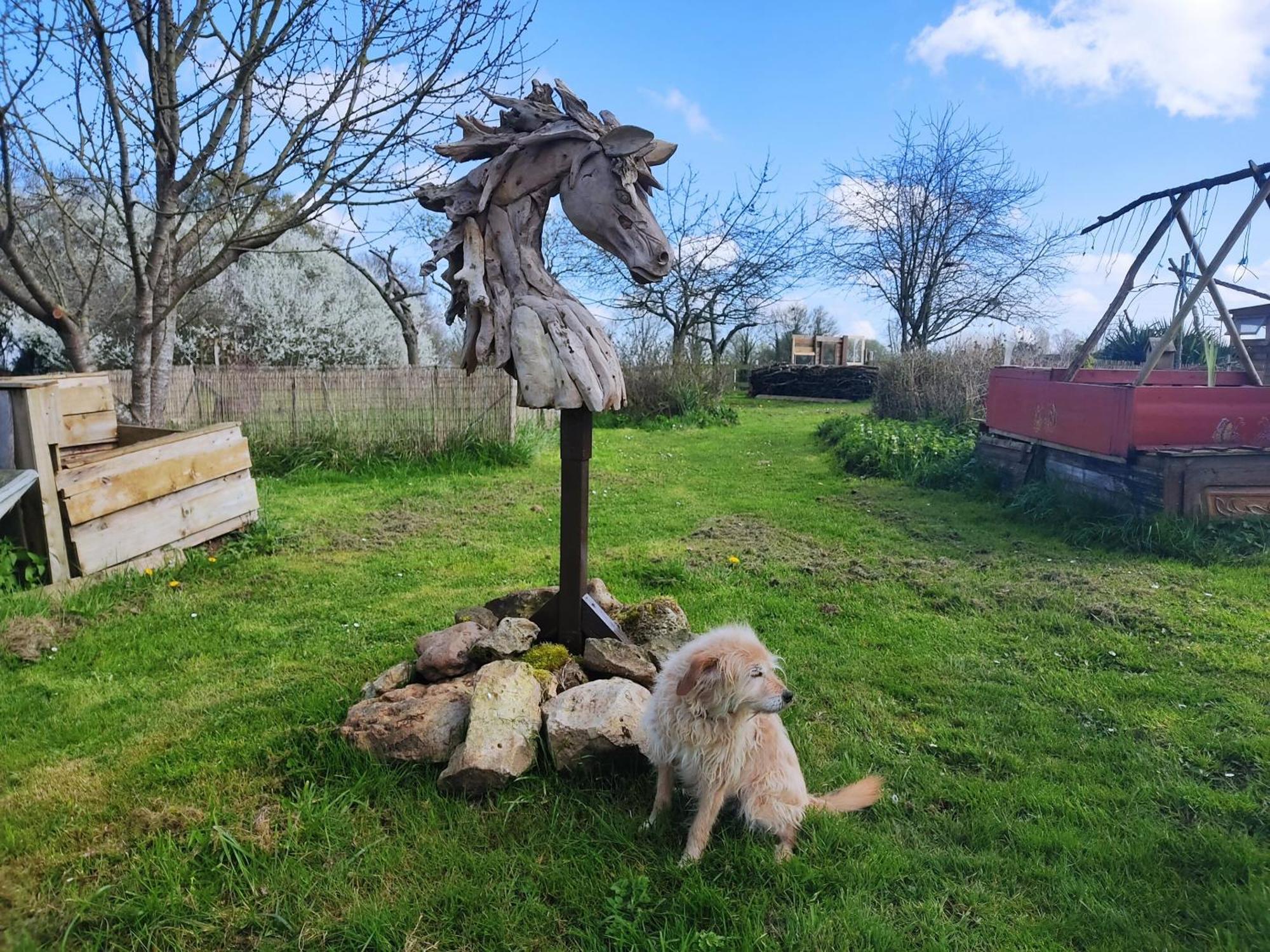 Bed and Breakfast La Valise A Cheval Mezieres-sur-Ponthouin Exterior foto